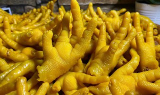 盐焗鸡爪正宗制作及配料 盐焗鸡爪教学