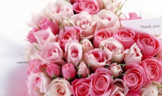 什么花适合送给女朋友(什么花最适合送给女朋友)