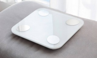 体脂秤是什么（体脂秤是什么意思）