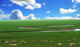 中国哪个城市面积最大（中国哪个城市人口最多）