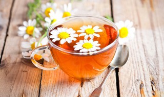 菊花枸杞红枣茶好处 菊花枸杞红枣茶好处和坏处