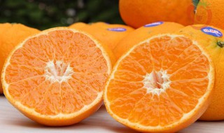 澳柑的功效与作用（澳柑的功效与作用及禁忌）