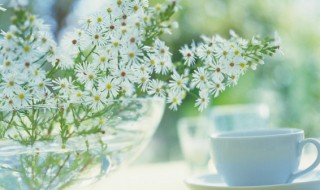 森系小清新女生网名大全 森系小清新女生网名最新