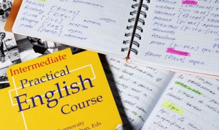 swam怎么读（swamps怎么读）