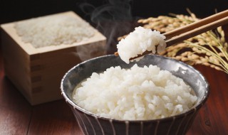 米饭碳水含量 米饭碳水含量100g