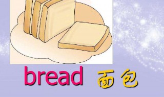 bread怎么读 bread怎么读音