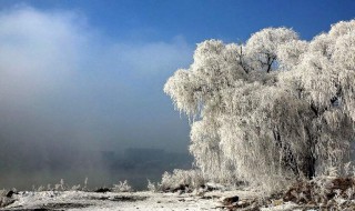 描写雪的诗有哪些 描写雪的诗有哪些?古诗