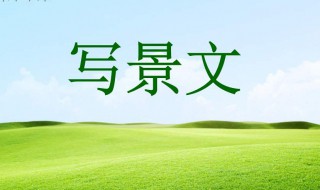 写景的作文600字（写景的作文600字优秀初中）