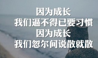 说散就散歌词 说散就散歌词艾福杰尼