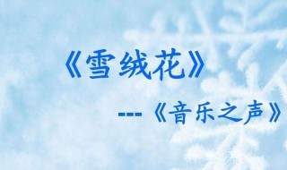 雪绒花歌词 雪绒花歌词英文版