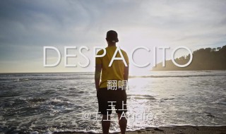 despacito歌词翻译中文 despacito歌词翻译中文谐音