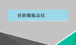 挂职锻炼总结 后备干部挂职锻炼总结