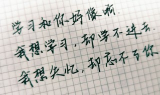 我好想你歌词（我好想你歌词苏立生）