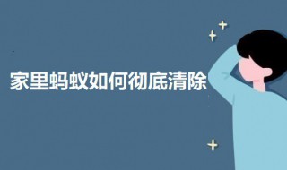 家里蚂蚁如何彻底清除 家里蚂蚁如何彻底清除不用药