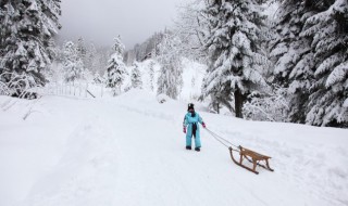 冬雪雪冬中指的是哪四个节气 24节气里的冬雪雪冬是什么意思