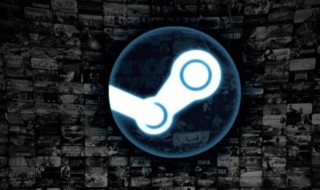 手机版steam怎么打不开（手机版steam怎么打不开了）