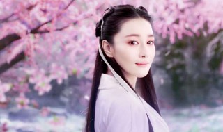 小龙女的师姐介绍 小龙女的师姐介绍是谁