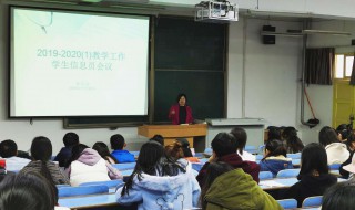 学期教学工作计划内容（学期教学工作计划要点）