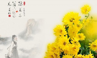 采菊东篱下悠然见南山全诗（陶渊明的悠然见南山全诗）