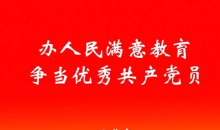 党员年度总结范文 党员年度总结范文简短