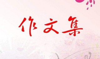 春节的作文300字（写一篇关于春节的作文300字）