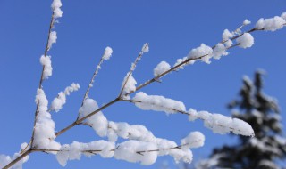 下雪发朋友圈唯美短句 下雪发朋友圈唯美短句抖音