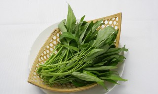 空心菜是什么菜（空心菜是什么菜类）