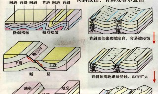 地质构造的基本类型有哪些 地质构造的主要类型