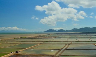 广海在哪里广海的地理位置 广海镇属于哪个市