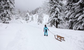 形容下雪的句子（形容下雪的句子简短）