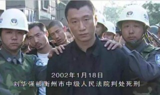 征服电视剧剧情 征服电视剧剧情分析