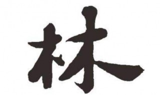 林姓名字大全（林姓名字大全属兔）