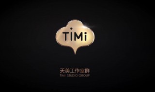 timi是什么意思 TIMi是什么意思