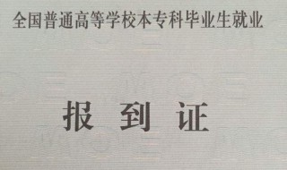 报到证怎么用（没有报到证怎么办）