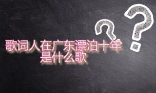 歌词人在广东漂泊十年是什么歌（歌词人在广东已经漂泊十年是什么歌）