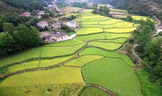 一公顷是多少亩地 一公顷是多少亩地多少平方千米