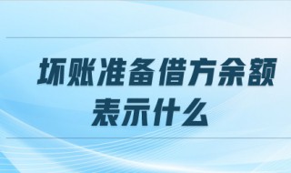 坏账准备借方余额表示什么（应收账款的坏账准备可以转回吗）