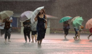 台风有什么天气特征 台风的天气现象主要特点