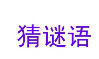 我没有他有天没有地有打一字 我没有他有天没有地有打一字谜底是什么