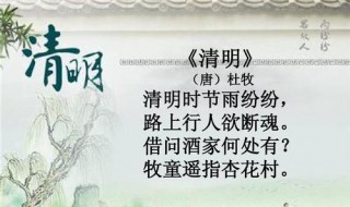 清明节的作文250字 清明节的作文250字左右