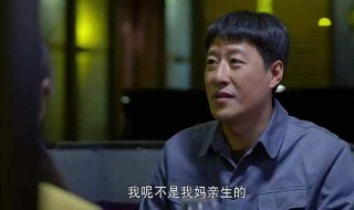 我的二哥二嫂剧情介绍 我的二哥二嫂剧情介绍电视猫