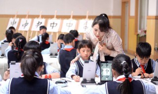 小学教师本人述职范文 小学教师本人述职范文50字简短