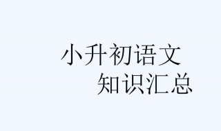 小升初语文复习资料 小升初复习资料