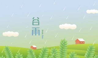 谷雨什么时候（谷雨什么时候上市的）