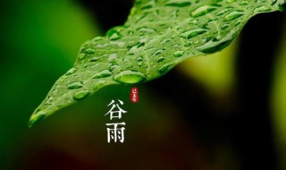 谷雨是24节气中第几个节气 谷雨是24节气里面的第几个节气