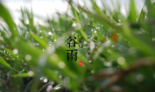 谷雨在什么季节 谷雨在什么季节出现