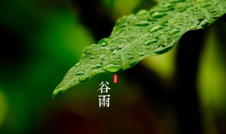 二十四节气谷雨的诗句（二十四节气谷雨的诗句是什么）