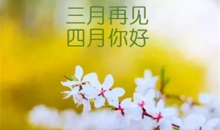 四月发朋友圈的精美句子（四月发朋友圈的精美句子短）