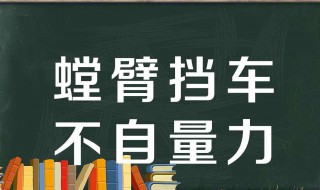 螳臂当车歇后语（螳臂当车歇后语后半部分）