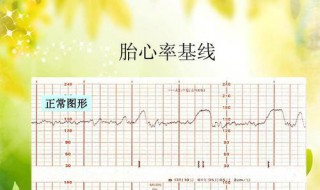 心率正常值范围是多少 心率正常值范围是多少40至50